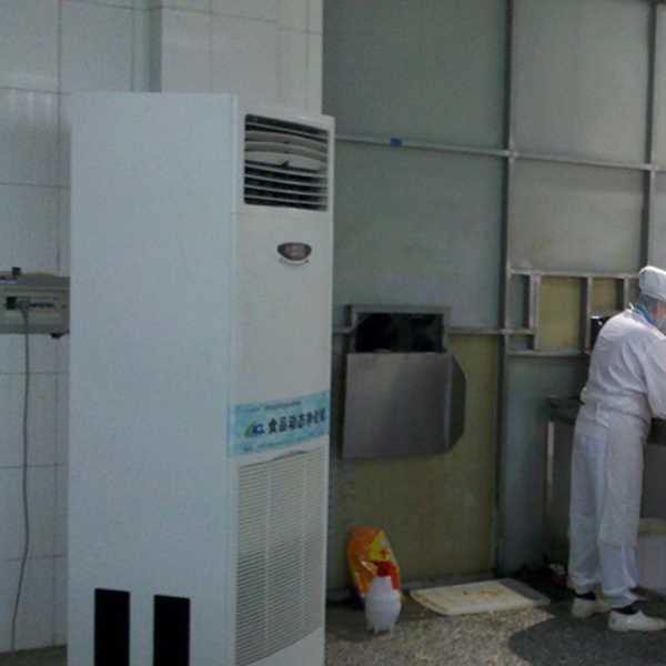 文山食品正负离子空气杀菌器